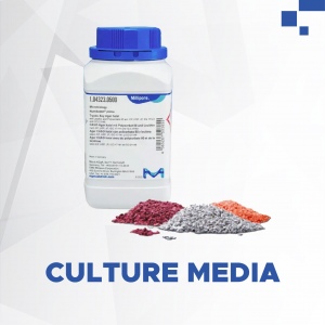 CULTURE MEDIA